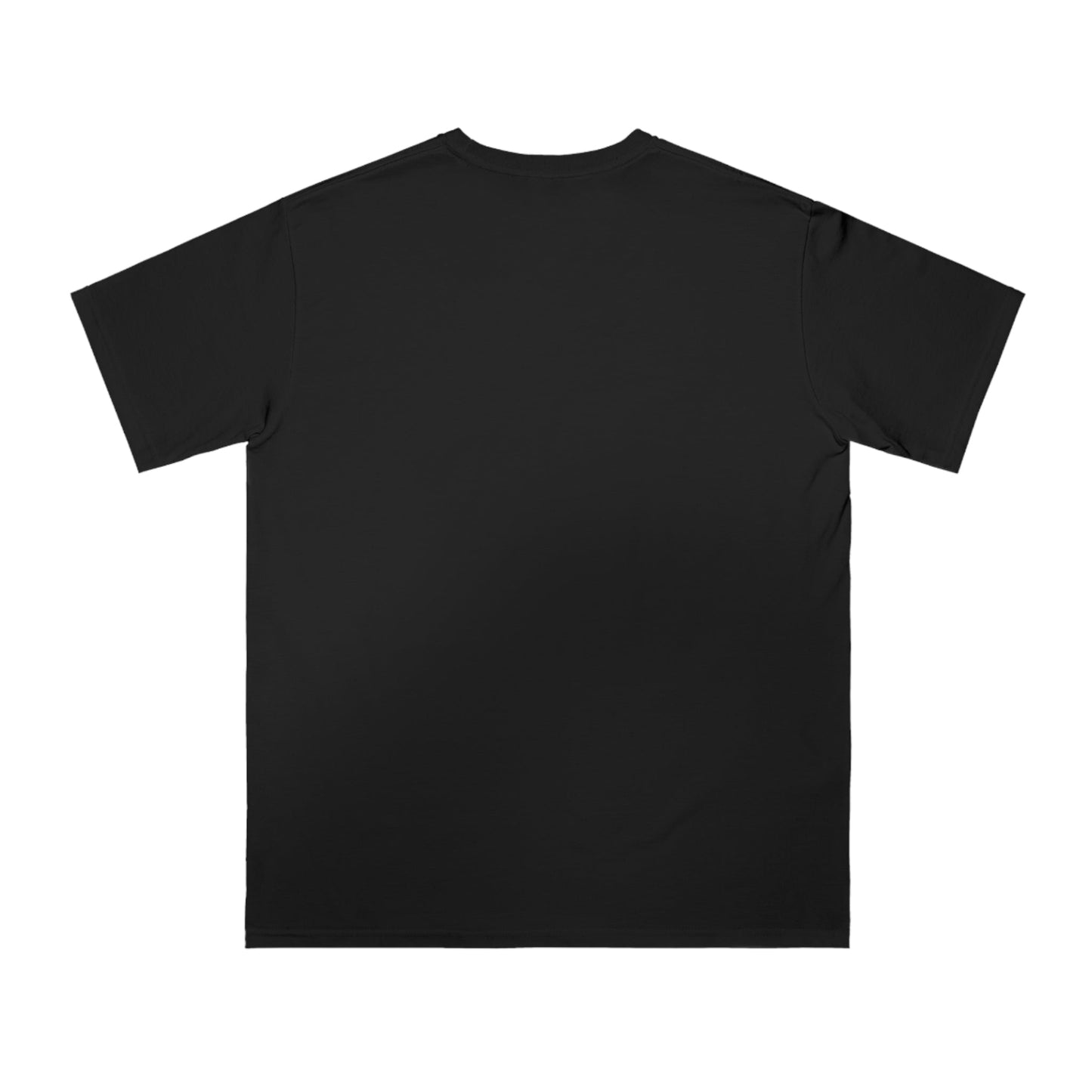 Organic Unisex Classic T-Shirt - IconVexa