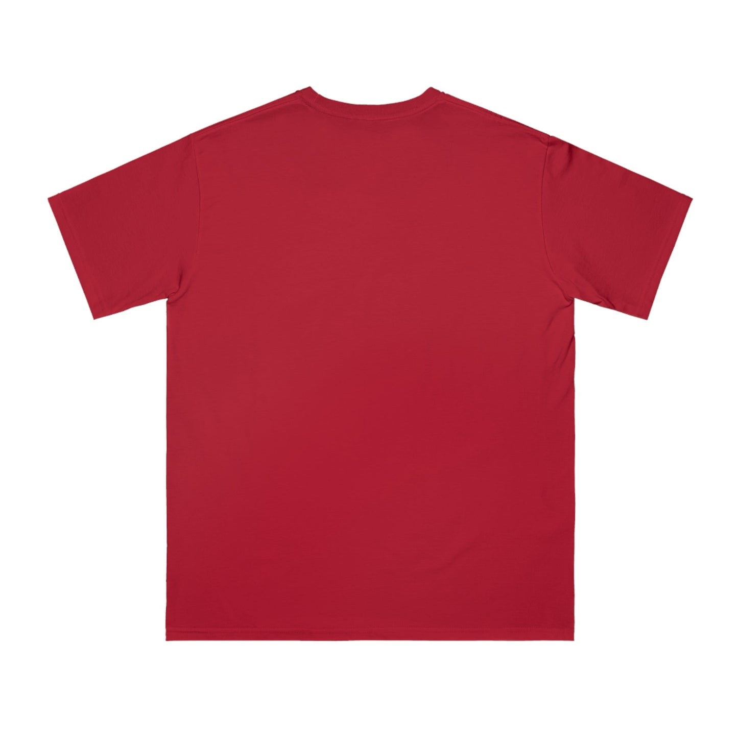 Organic Unisex Classic T-Shirt - IconVexa